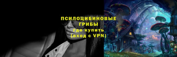 мет Белокуриха