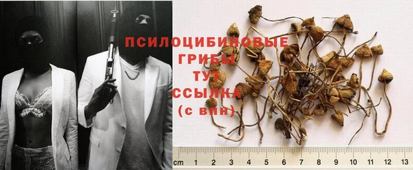 MDMA Баксан